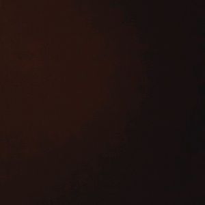 Meet your Posher, Alina